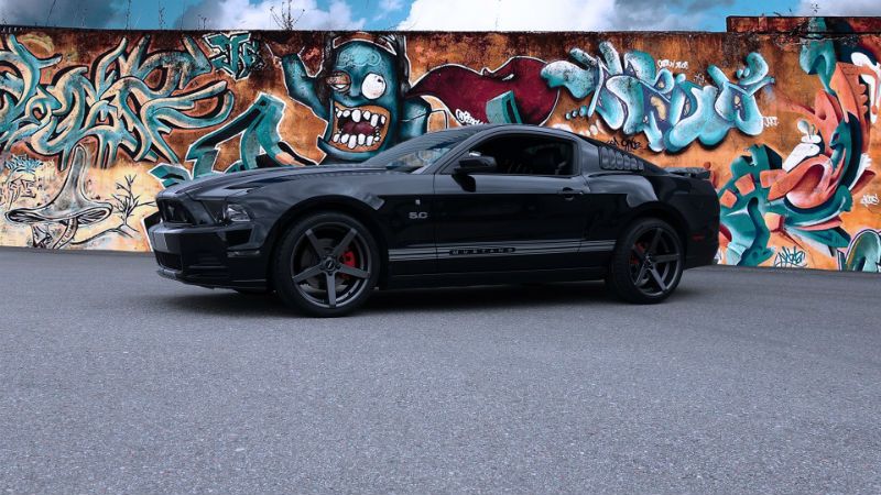 ABS355 mustang
