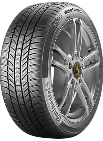 CONTINENTAL WINTER CONTACT TS 860 Friktionsdck