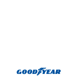 Goodyear EFFICIENTGRIP CARGO 2 Sommard�ck