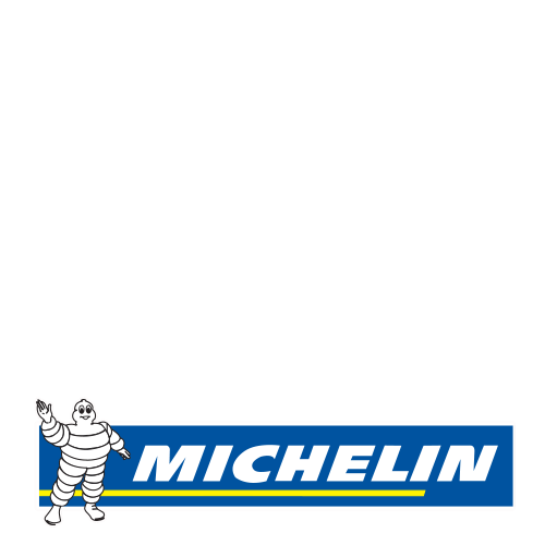 Michelin PRIMACY 5 ENERGY Sommard�ck
