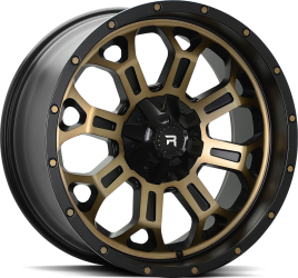 R Series R12 Pol Bronze-Black f&auml;lgar